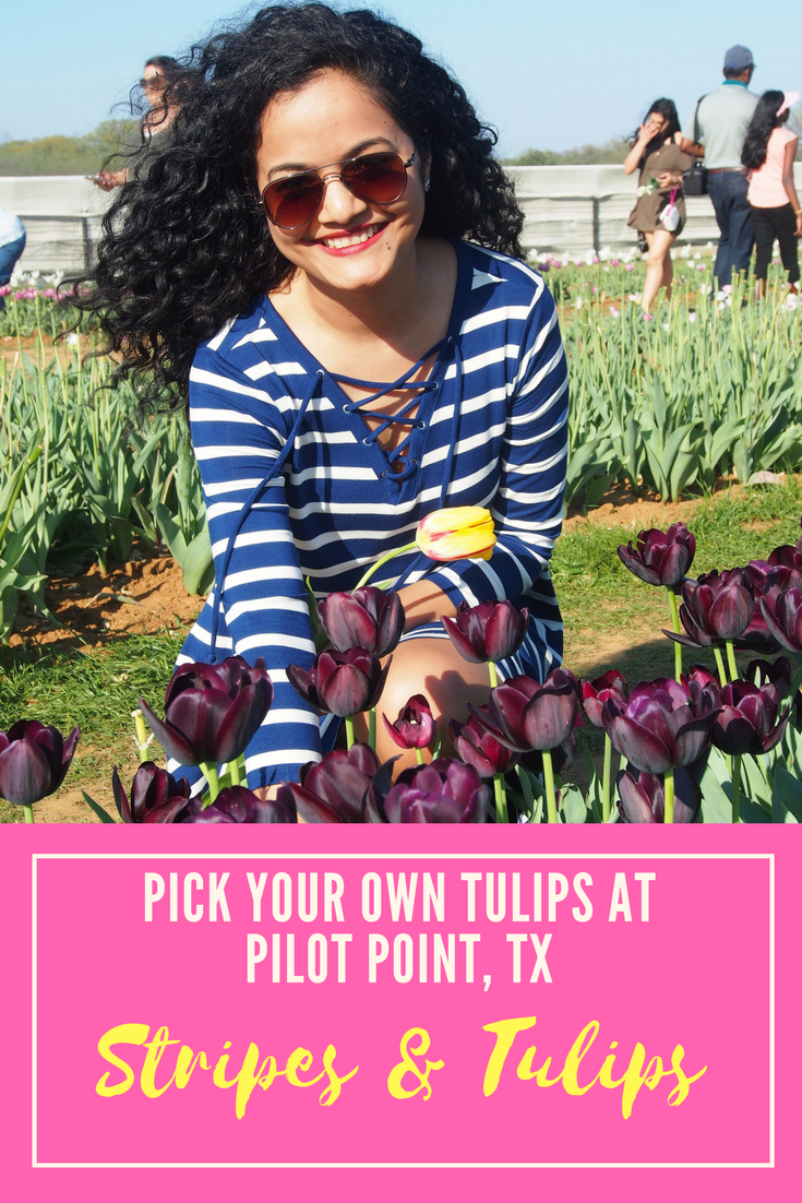 Texas Tulips-girlinchief