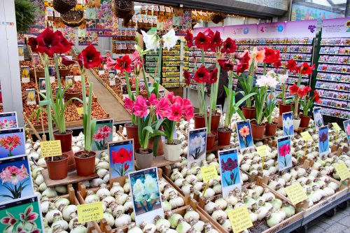 amsterdam-bloemen-market-stall-2