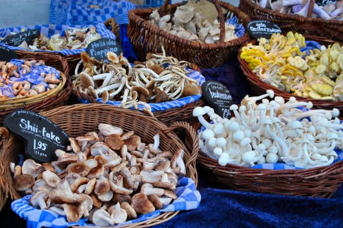 amsterdam-mushrooms-at-street-market