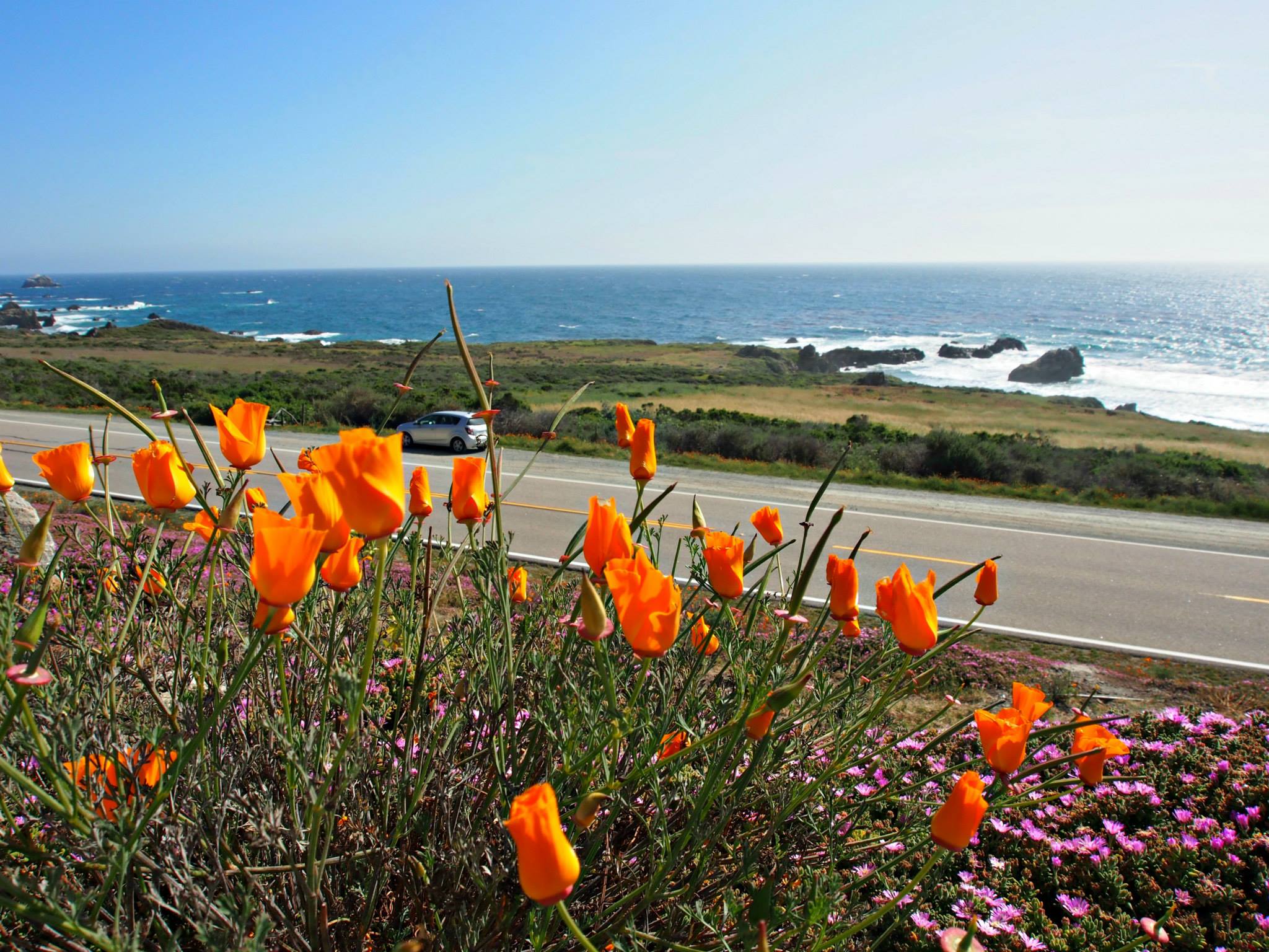 Road Trip: California's Pacific Coast Highway