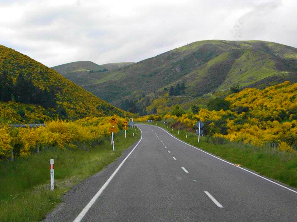 An Epic Road Trip in New Zealand