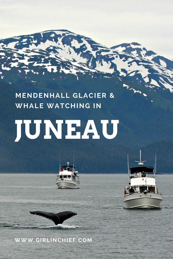 Alaska Cruise: Mendenhall Glacier and Whale Watching in Juneau