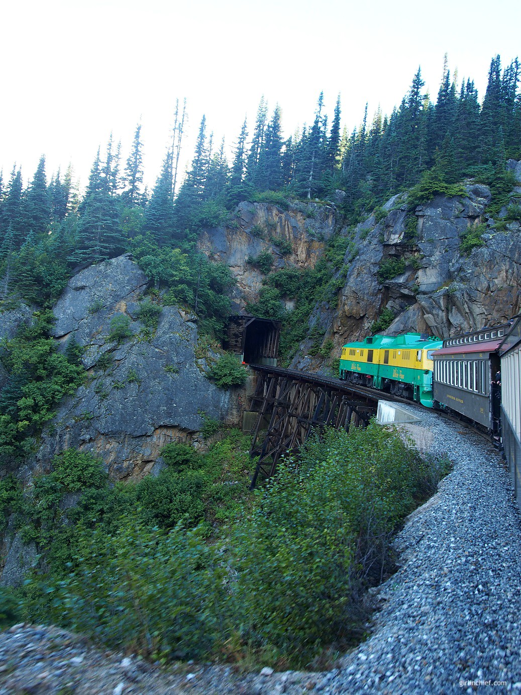 Alaska Cruise : Seeing Alaska's Beauty by Train on the White Pass & Yukon Rail