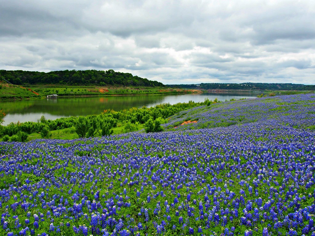 Fun Things to Do in Texas This Spring