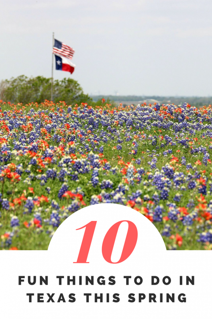Fun Things to Do in Texas This Spring