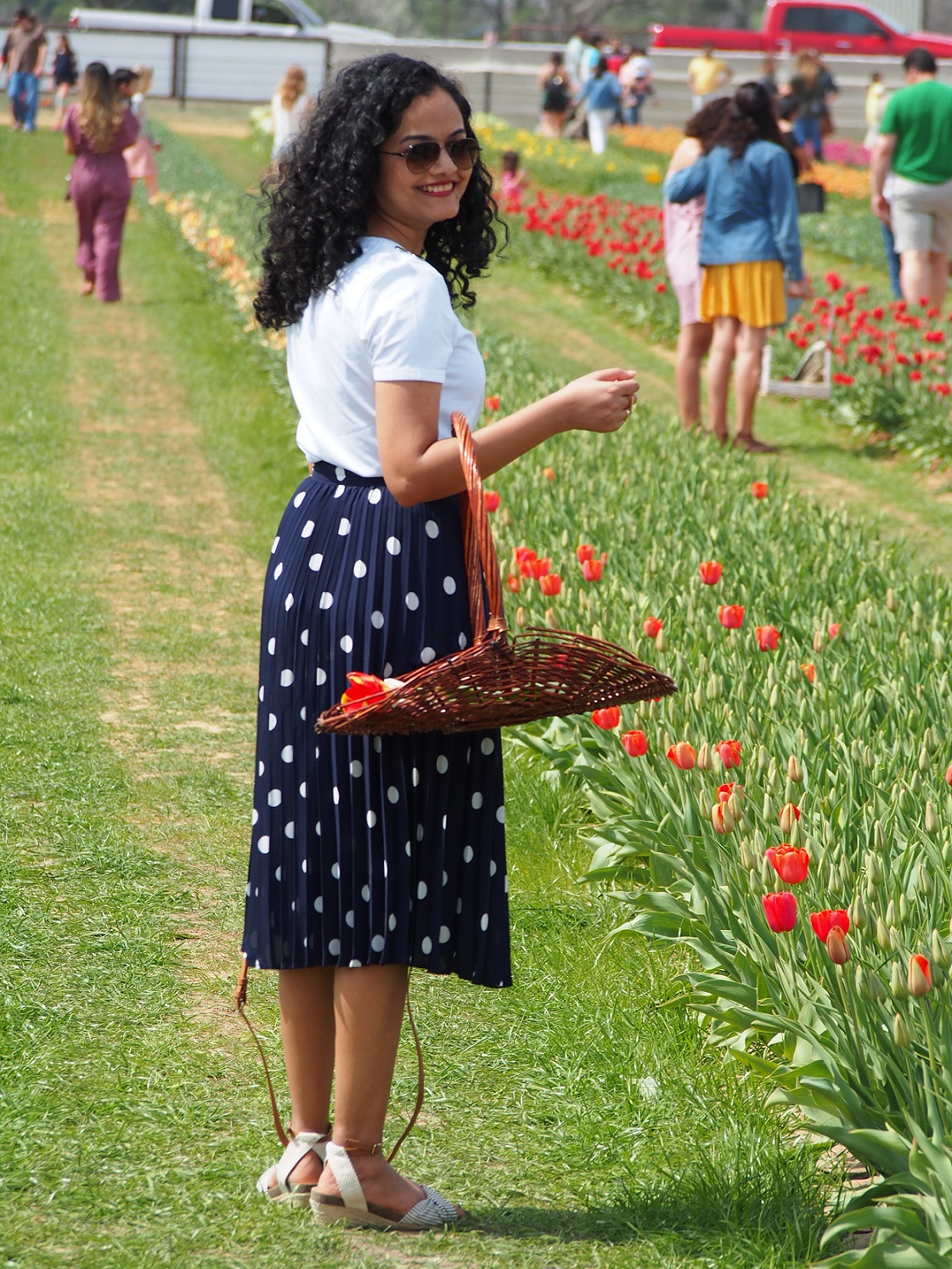 Texas Tulips: A Piece Of Holland In Texas