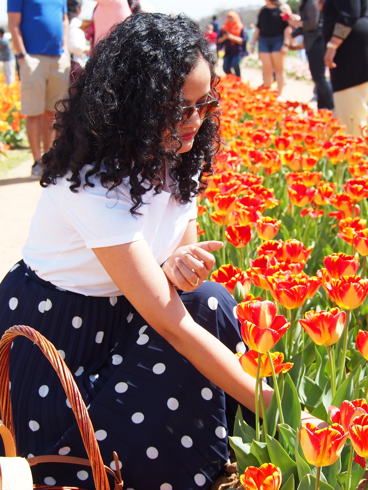 Texas Tulips: A Piece Of Holland In Texas