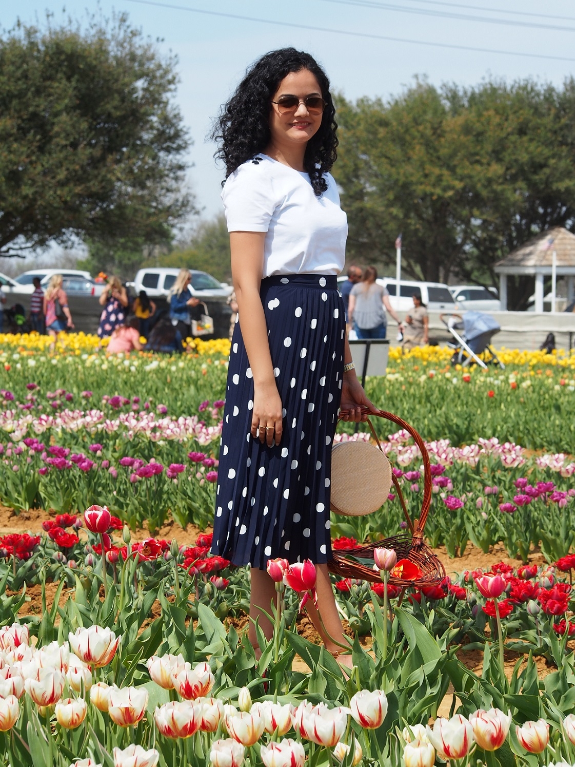 Texas Tulips: A Piece Of Holland In Texas