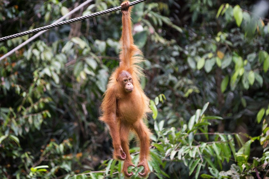 girlinchief-five-islands-you-have-to-add-to-your-bucket-list-borneo