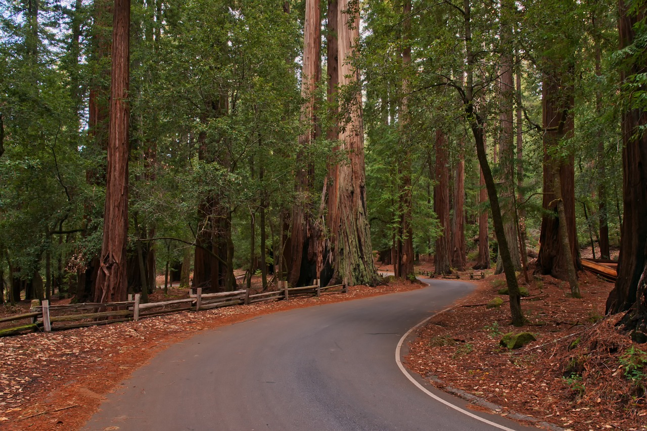 Must-See Small Towns in California