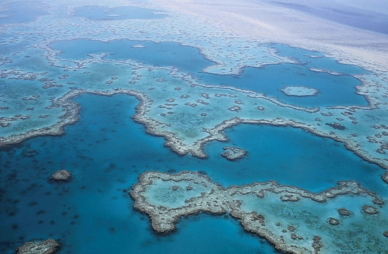 girlinchief-top-four-sightseeing-stunners-in-australia-great-barrier-reef