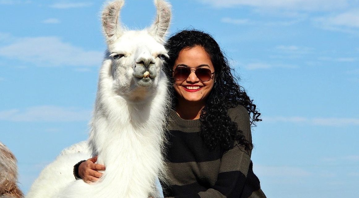 Llama Love: The Llamas Of ShangriLlama | Girl-in-Chief